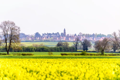 Fire Alarm Services You Can Rely On in Northamptonshire
